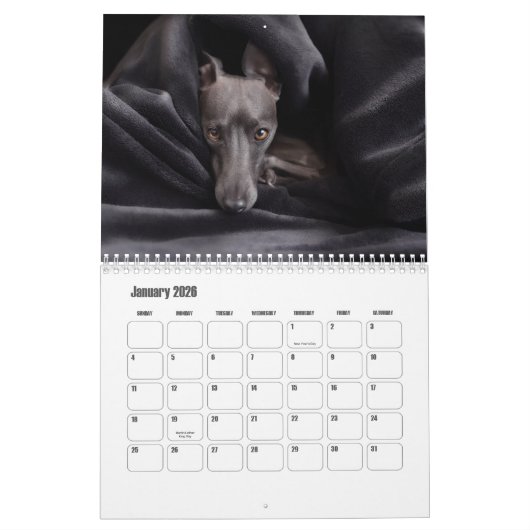 Calendrier des Chiens de Borzoi (Jan 2026)