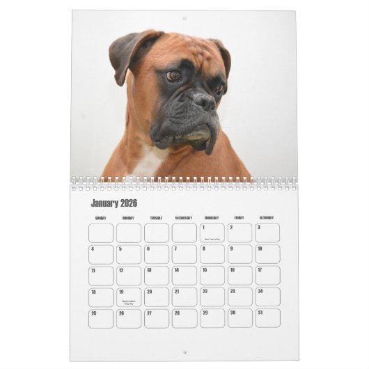 Calendrier des chiens de boxe (Jan 2026)