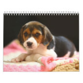 Calendrier des chiens de chien de chien de chien e (Protection)