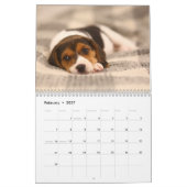 Calendrier des chiens de chien de chien de chien e (Feb 2027)