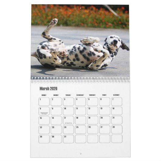 Calendrier des Chiens de Dalmatie (Mar 2026)