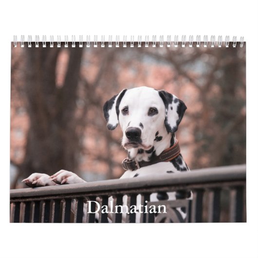 Calendrier des Chiens de Dalmatie (Protection)