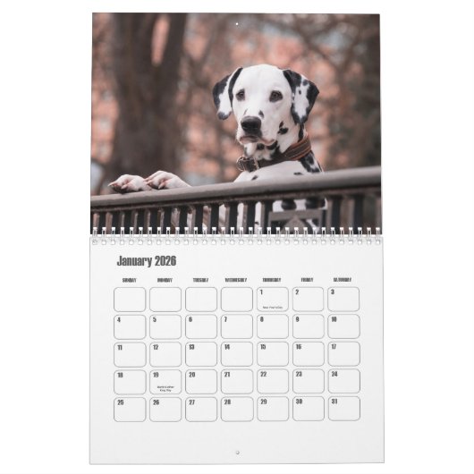 Calendrier des Chiens de Dalmatie (Jan 2026)