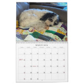 Calendrier des chiens de K-Cee II Zuchon 2021 (Mar 2026)
