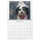 Calendrier des chiens de K-Cee II Zuchon 2021 (Feb 2026)