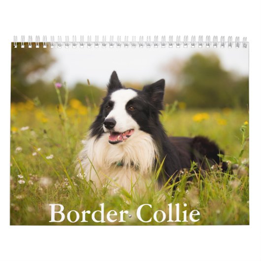 Calendrier des chiens de la frontière Collie (Protection)