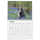 Calendrier des chiens de montagne bernois (Mar 2026)