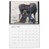 Calendrier des chiens de service (Feb 2027)