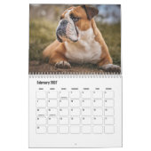 Calendrier des chiens de taureau (Feb 2027)