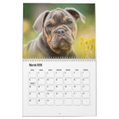 Calendrier des chiens de taureau (Mar 2026)