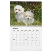 Calendrier des Chiens de Tulée (Mar 2027)