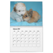 Calendrier des Chiens de Tulée (Feb 2027)