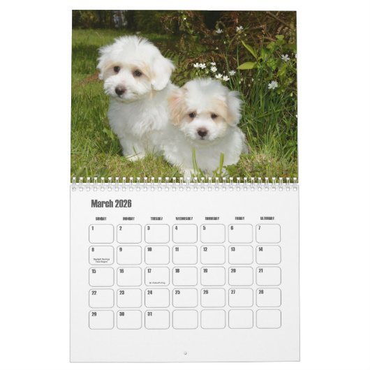 Calendrier des Chiens de Tulée (Mar 2026)