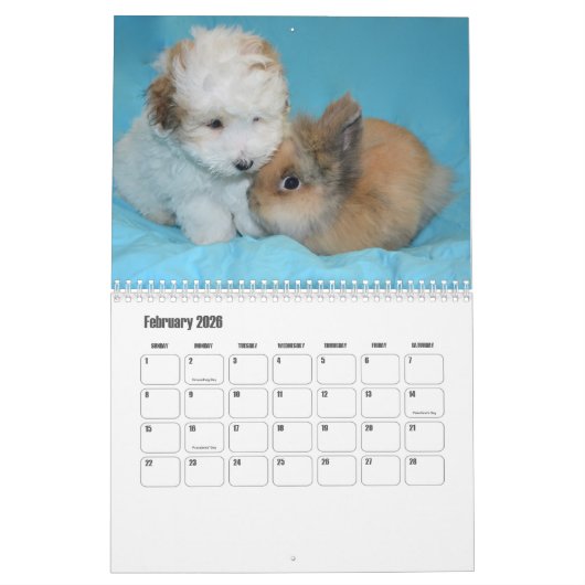 Calendrier des Chiens de Tulée (Feb 2026)