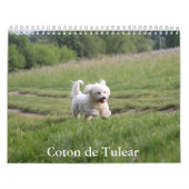 Calendrier des Chiens de Tulée (Protection)