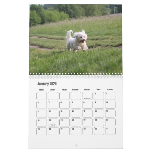 Calendrier des Chiens de Tulée (Jan 2026)