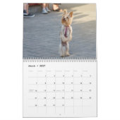 Calendrier des chiens de Yorkshire Terrier 2026 (Mar 2027)