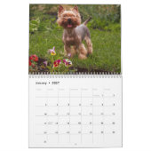 Calendrier des chiens de Yorkshire Terrier 2026 (Jan 2027)