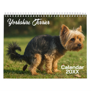 Calendrier des chiens de Yorkshire Terrier 2026