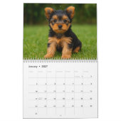 Calendrier des chiens de Yorkshire Terrier 2026 (Jan 2027)