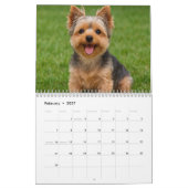 Calendrier des chiens de Yorkshire Terrier 2026 (Feb 2027)