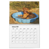 Calendrier des chiens Dogue de Bordeaux (Feb 2027)