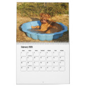 Calendrier des chiens Dogue de Bordeaux (Feb 2026)
