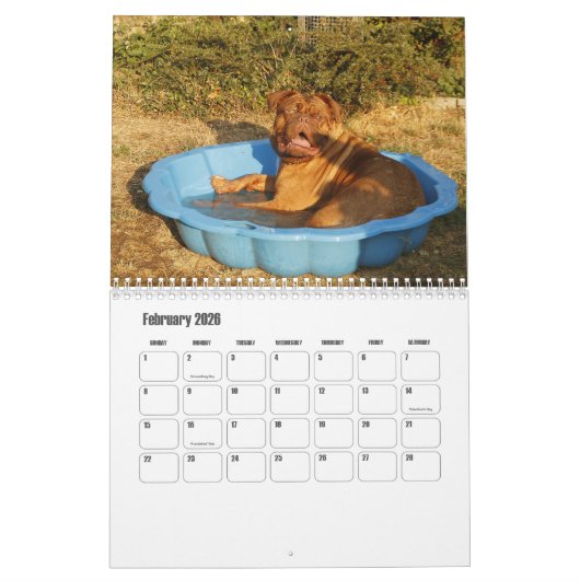 Calendrier des chiens Dogue de Bordeaux (Feb 2026)