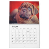 Calendrier des chiens Dogue de Bordeaux (Jan 2026)