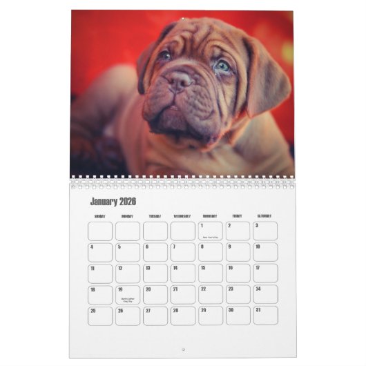 Calendrier des chiens Dogue de Bordeaux (Jan 2026)