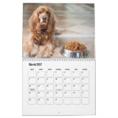 Calendrier des Chiens Espagnols Cocker (Mar 2027)