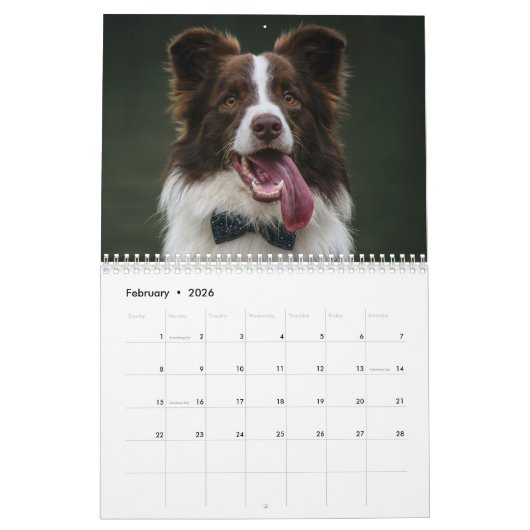 Calendrier des chiens mignons 2023 (Feb 2026)