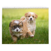 Calendrier des chiens mignons 2023 (Protection)