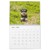 Calendrier des chiens mignons 2023 (Mar 2027)
