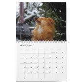 Calendrier des chiens mignons 2023 (Jan 2027)
