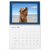 Calendrier des chiens mignons et heureux 2024 (Jan 2027)