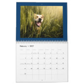 Calendrier des chiens mignons et heureux 2024 (Feb 2027)
