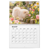 Calendrier des chiens Poméranie (Mar 2027)