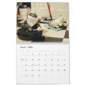 Calendrier des chiens robots (Mar 2026)