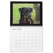Calendrier des chiens Rottweiler et Pitbull Dog (Jan 2026)