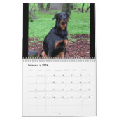 Calendrier des chiens Rottweiler et Pitbull Dog (Feb 2026)