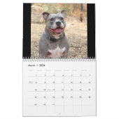 Calendrier des chiens Rottweiler et Pitbull Dog (Mar 2026)