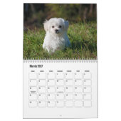 Calendrier des chiots (Mar 2027)