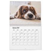 Calendrier des chiots (Feb 2027)