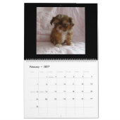 Calendrier des chiots (Feb 2027)