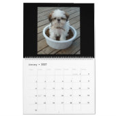 Calendrier des chiots (Jan 2027)