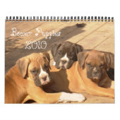 Calendrier des chiots 2010 de boxeur (Protection)