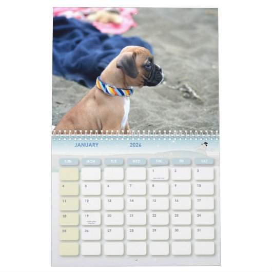 Calendrier des chiots 2012 de boxeur (Jan 2026)