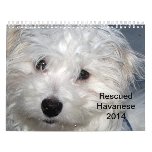 Calendrier des chiots 2014 de Havanese de (Protection)