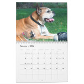 Calendrier des chiots 2019 de boxeur (Feb 2026)
